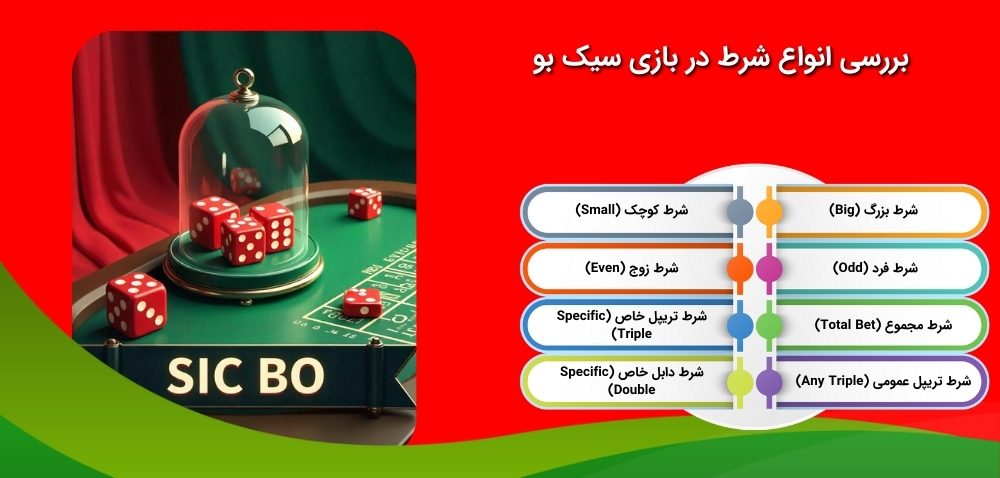 بازی سیک بو و انواع شرط بندی در آن